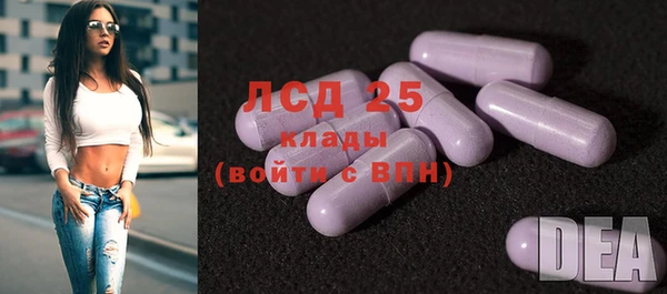 стафф Аркадак