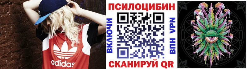 omg зеркало  Острогожск  Псилоцибиновые грибы мицелий 