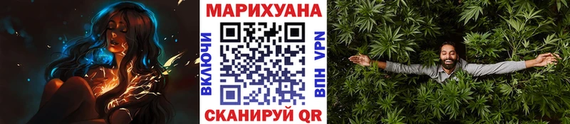 где продают   Острогожск  Бошки марихуана SATIVA & INDICA 